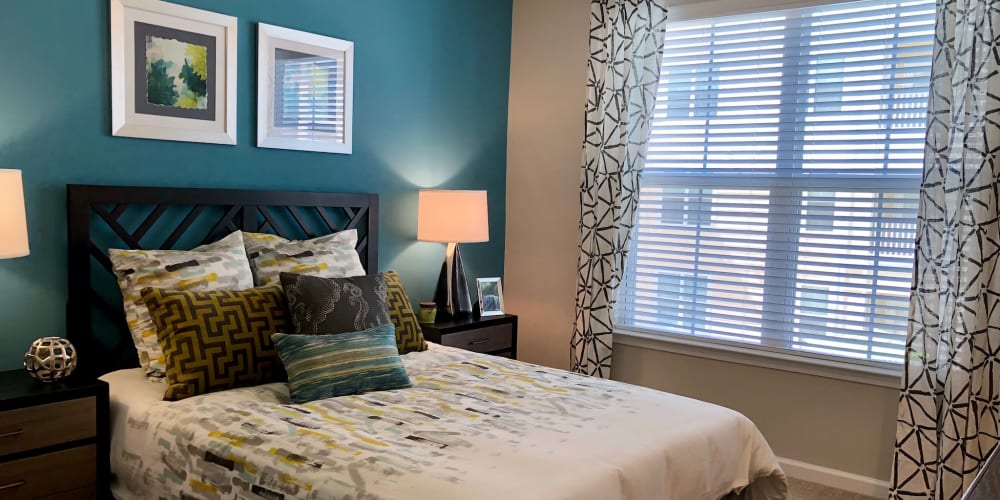 Beautiful decorated room with large window for tons of light at Level at 401 in Raleigh, North Carolina