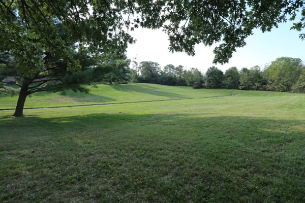 Green fields at Abigail Gardens Apartments in Lexington, Kentucky