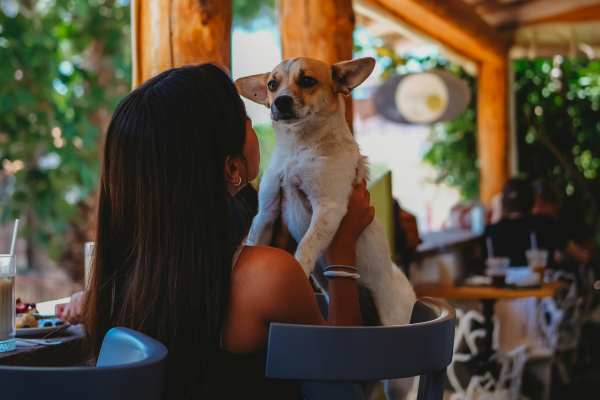 dog friendly patio near Calista