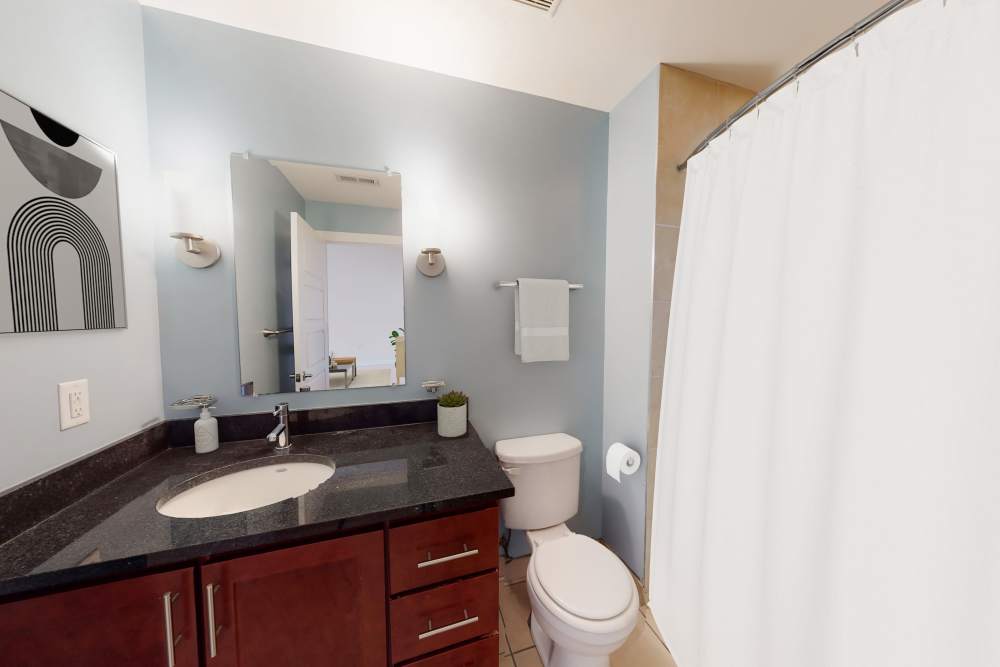 Bathroom at Perry Street Lofts in Petersburg. VA