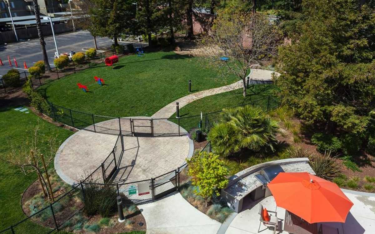 Dog park at The Parc At Pruneyard in Campbell, California