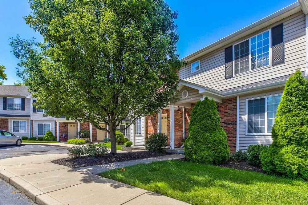 Mature oak tree and trimmed hedges at Reserve at Ft. Mitchell Apartments in Ft. Mitchell, Kentucky