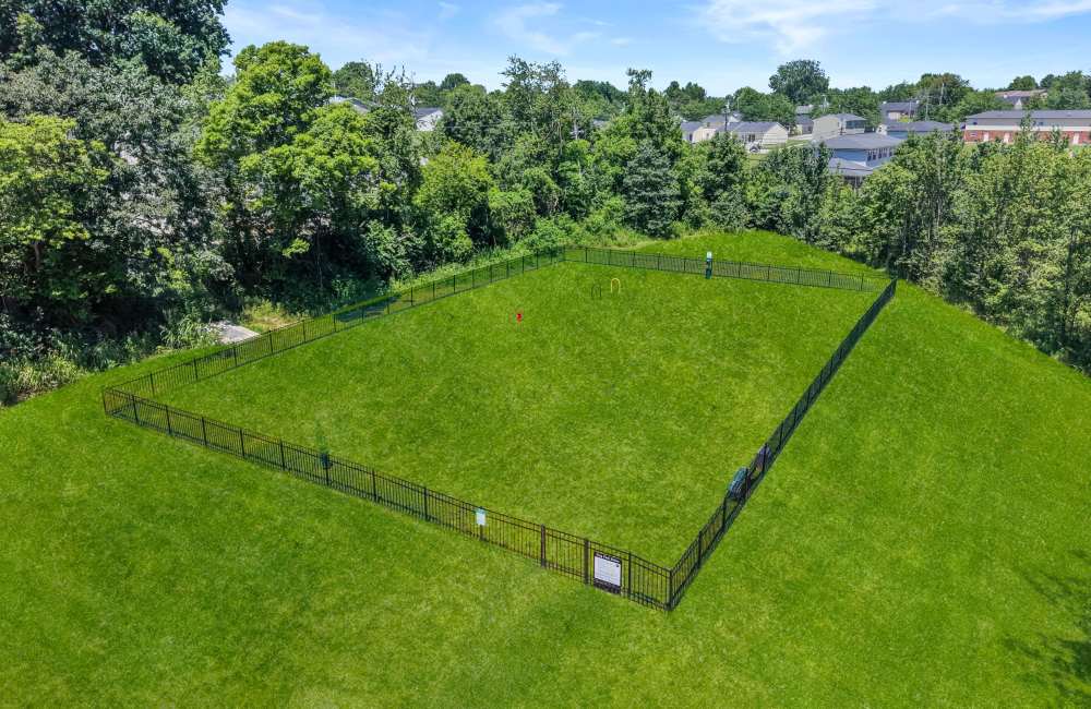 Entire Dog Park Buffalo Ridge Townhomes in Elizabethtown, Kentucky