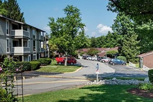 Lush landscaping at Nineteen North Apartments in Pittsburgh, Pennsylvania