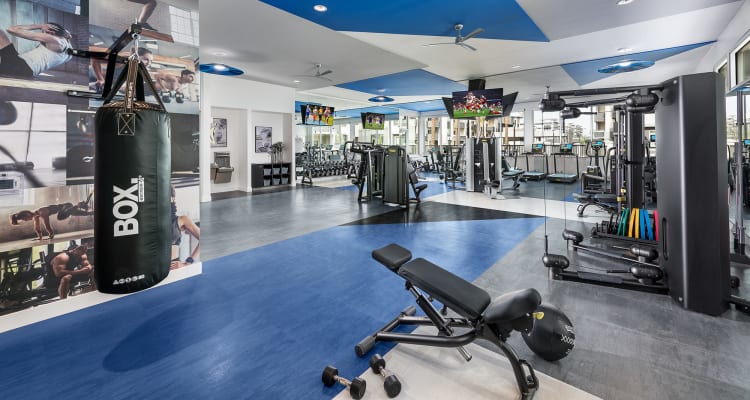 State-of-the-art fitness center at Aviva Goodyear in Goodyear, Arizona