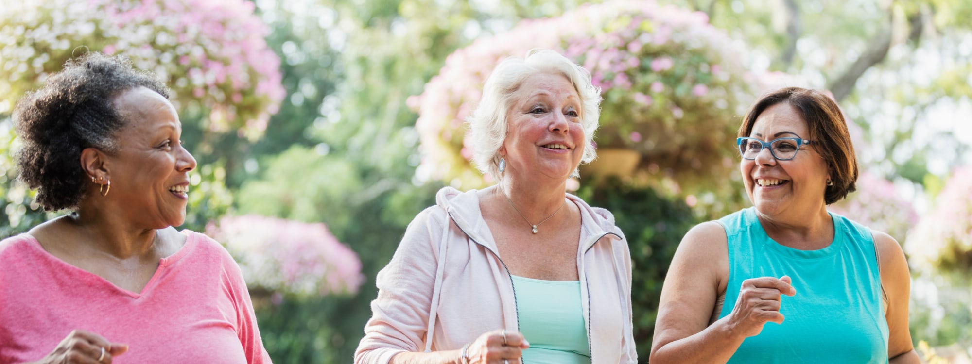 Services & Amenities at York Gardens in Edina, Minnesota