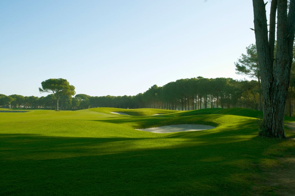 Golf near Inspirations at the Towncenter - Coming Soon in Jacksonville, Florida.
