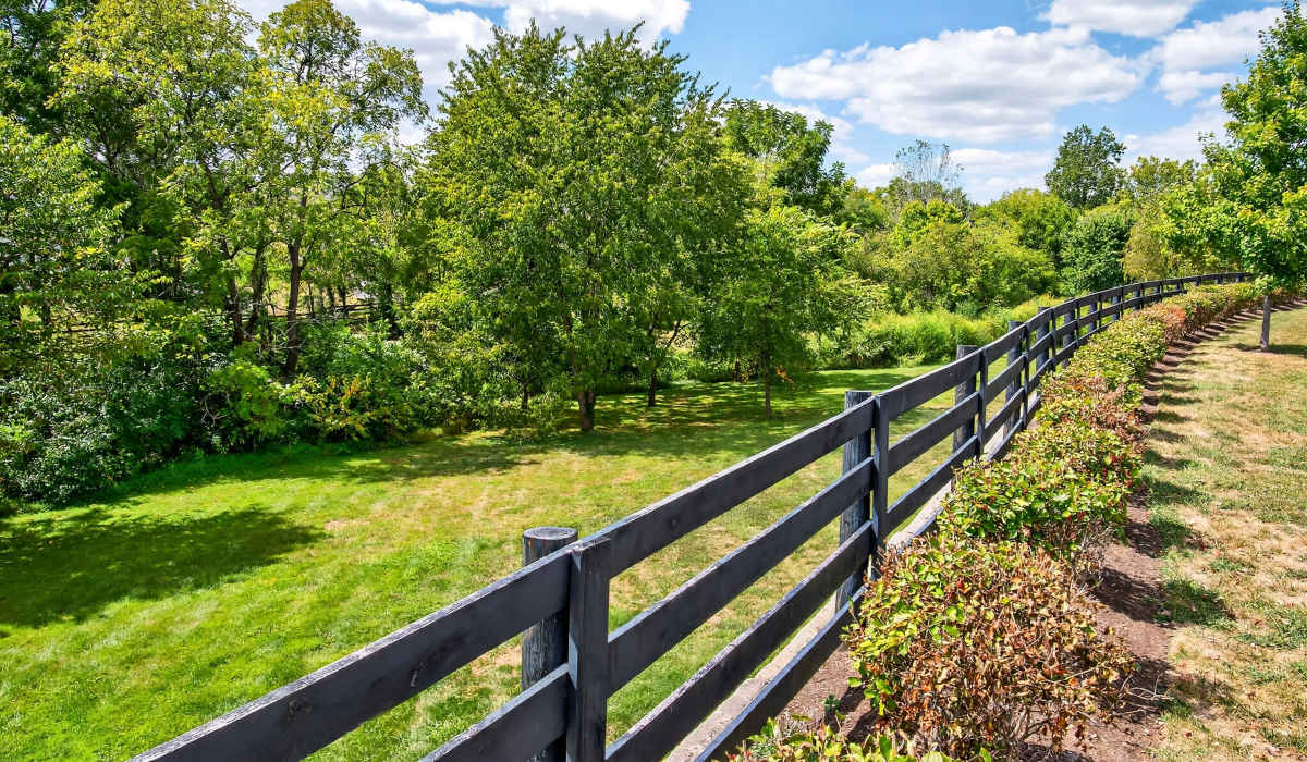 Fencing at Palomar Stables in Lexington,Kentucky