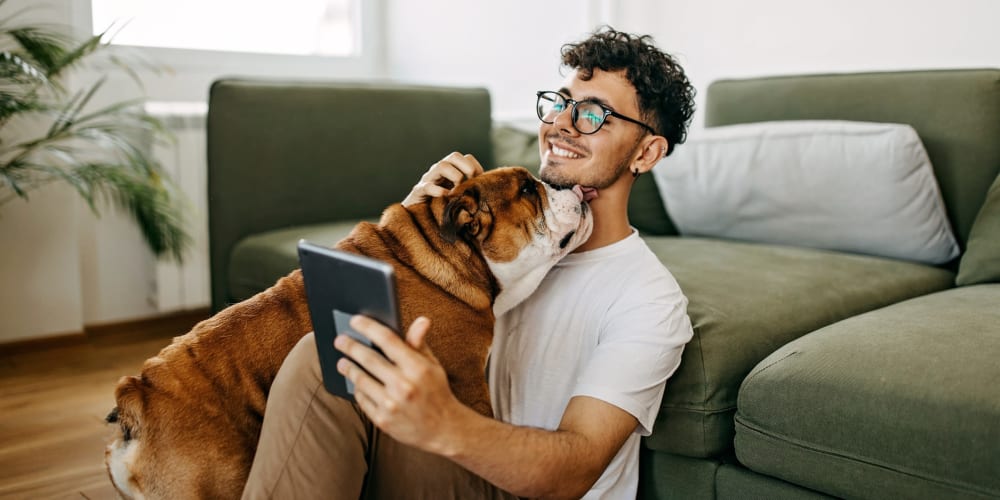 A resident looking at a tablet and petting his dog in a pet-friendly apartment at Alivia Townhomes in Whittier, California