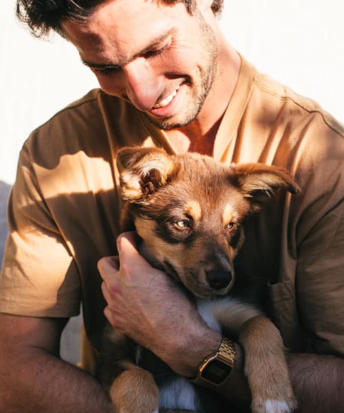 Resident cuddling their dog at Instrata at Legacy West in Plano, Texas