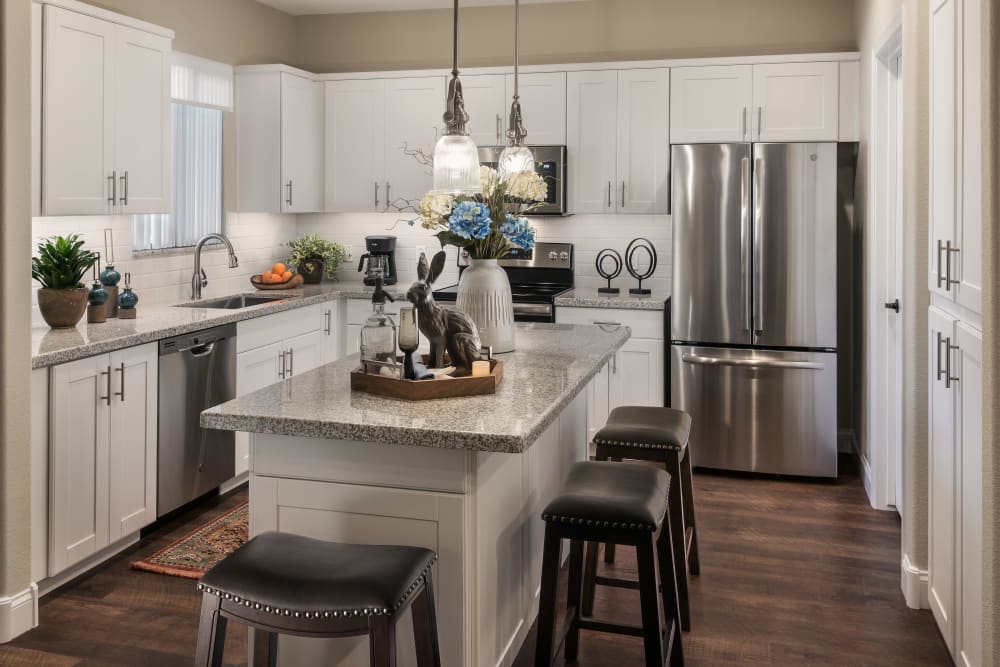 Energy-Efficient, Stainless-Steel Appliances at San Artes in Scottsdale, Arizona