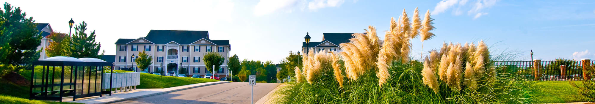 Apply to Sunchase at Longwood in Farmville, Virginia