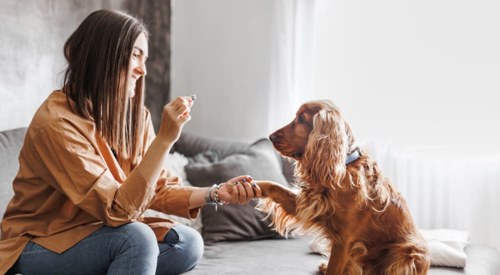 Resident with her dog at The Enclave at Delray Beach in Delray Beach, Florida