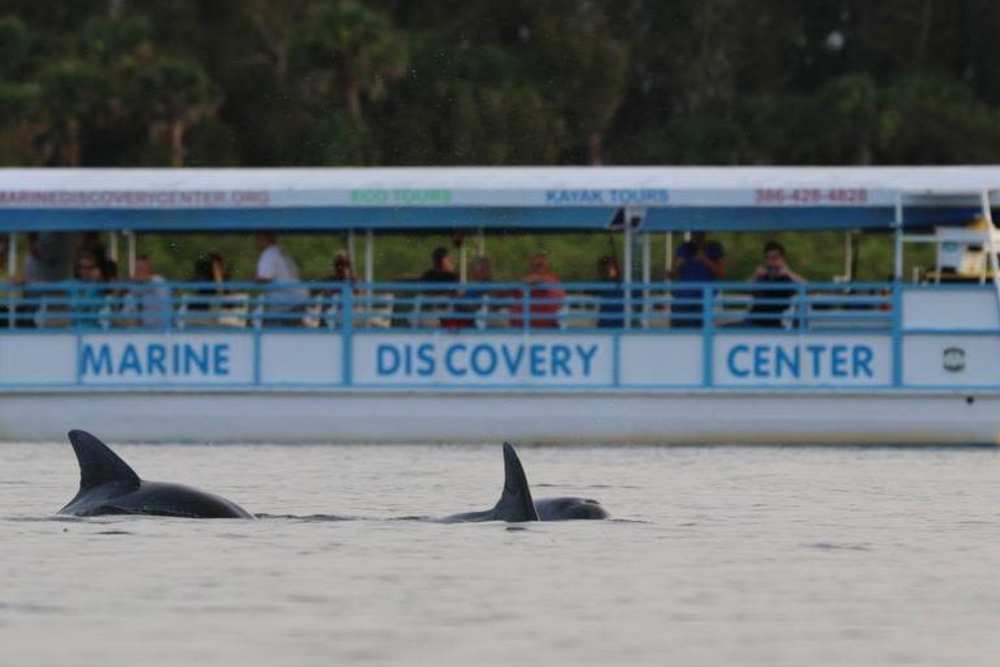 The ocean park near The Beacon in New Smyrna Beach, Florida