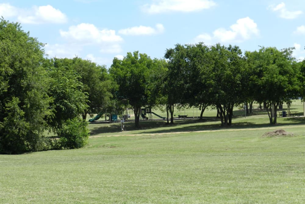 Expansive lawn and children's playground at Pecan Ridge in Midlothian, Texas