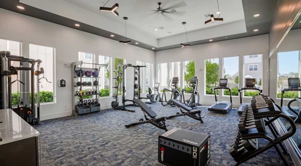 Fitness center with modern equipment at August Friendswood in Friendswood, Texas