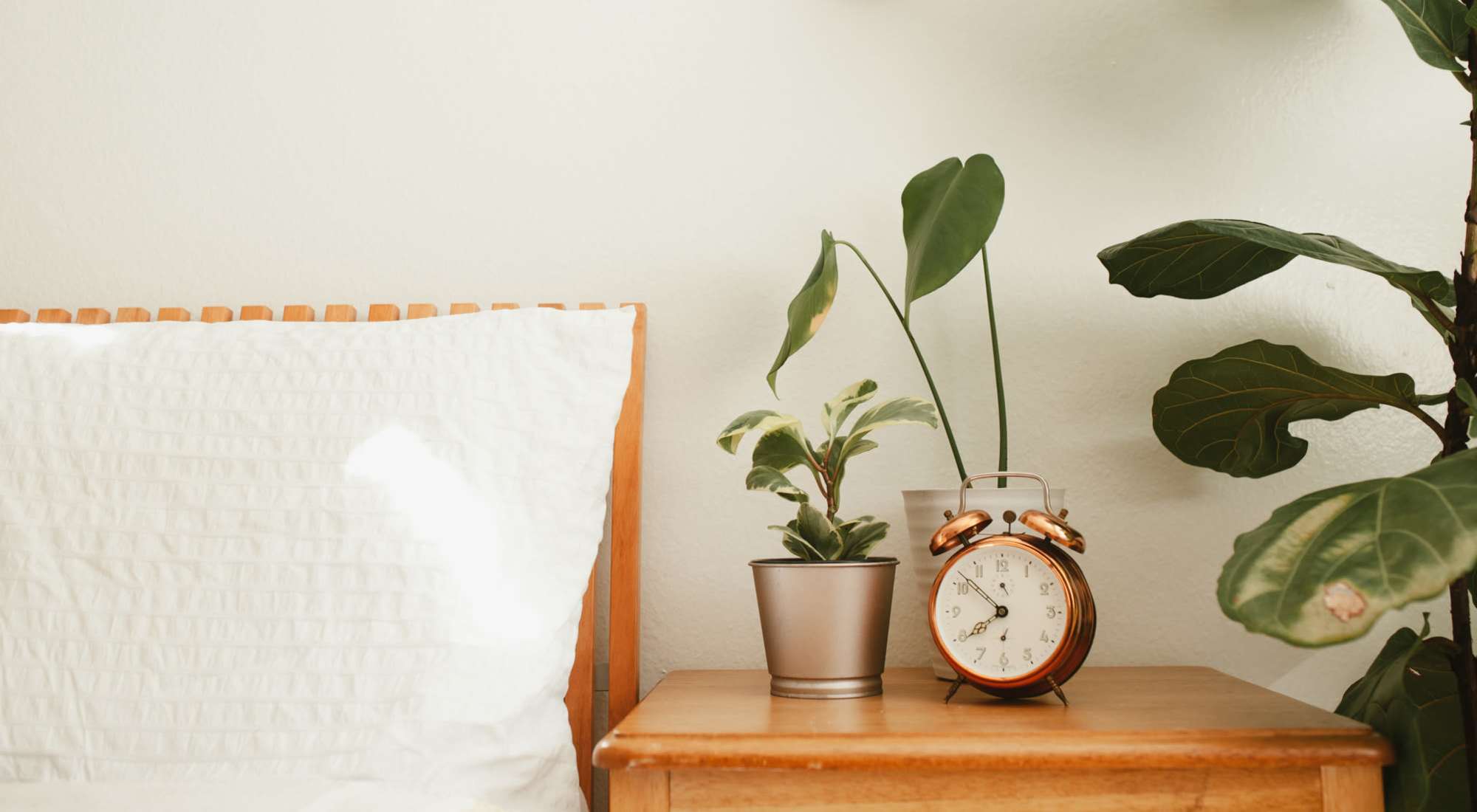 Schedule a Tour | Ashley Oaks in Charleston, South Carolina