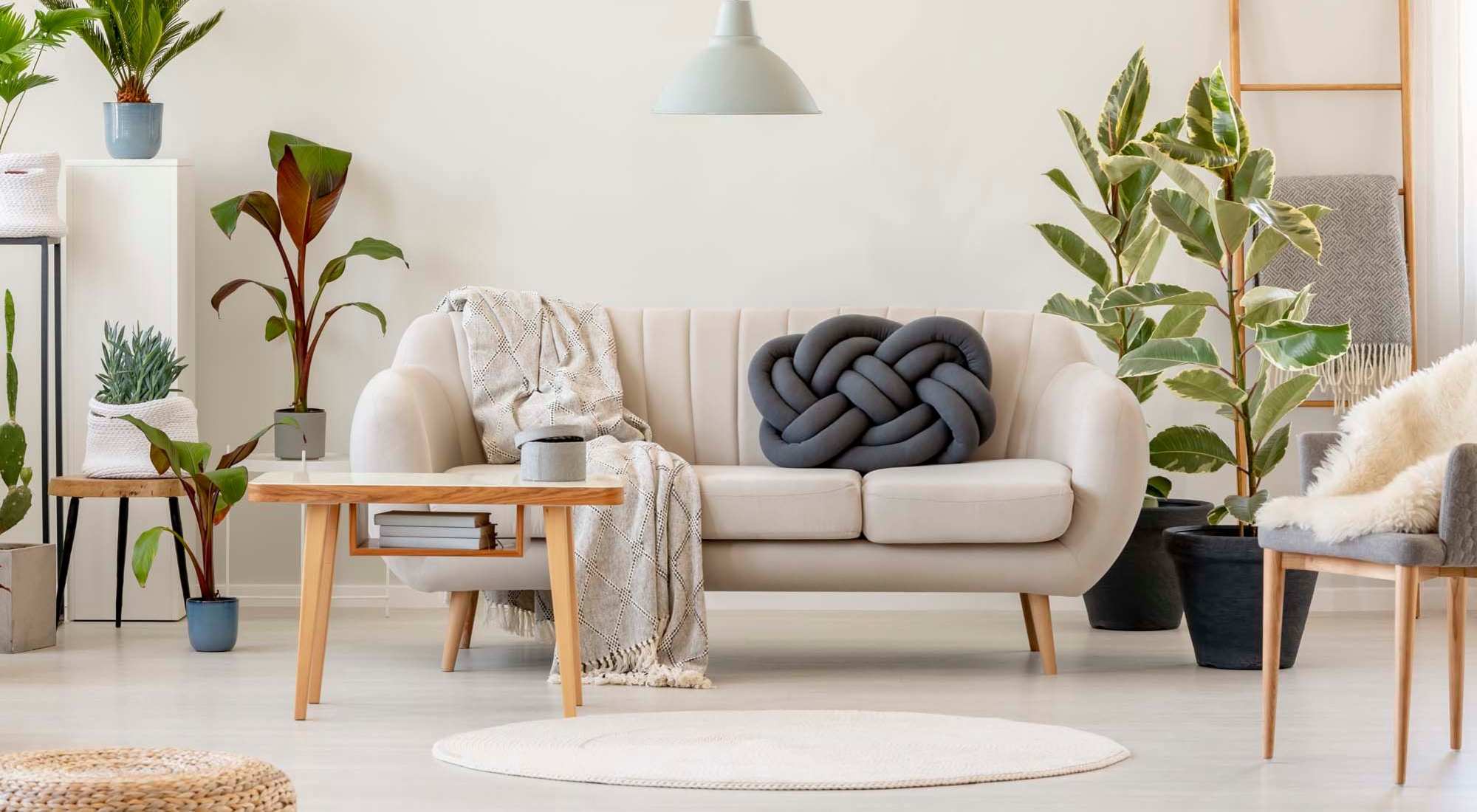 Floor Plans | Groves at Waters Edge in Waynesville, North Carolina