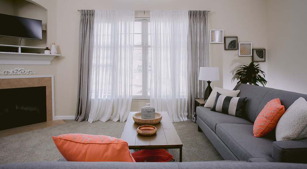 Living room at Stone Creek Village Apartments in Charlottesville, Virginia