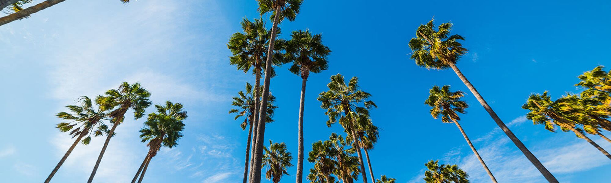 Location | Terre at Lexi in El Cajon, California