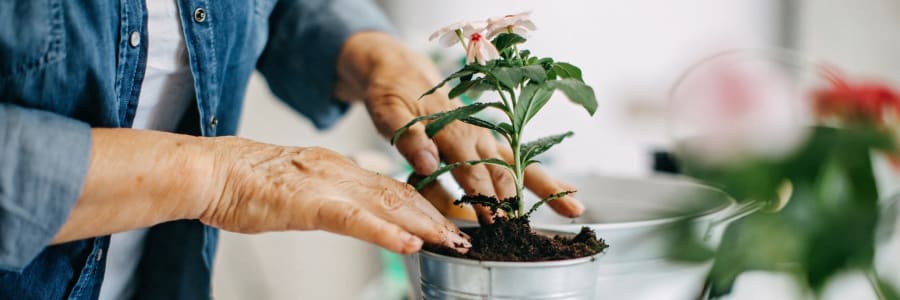 Resident gardening at Holton Manor in Elkhorn, Wisconsin