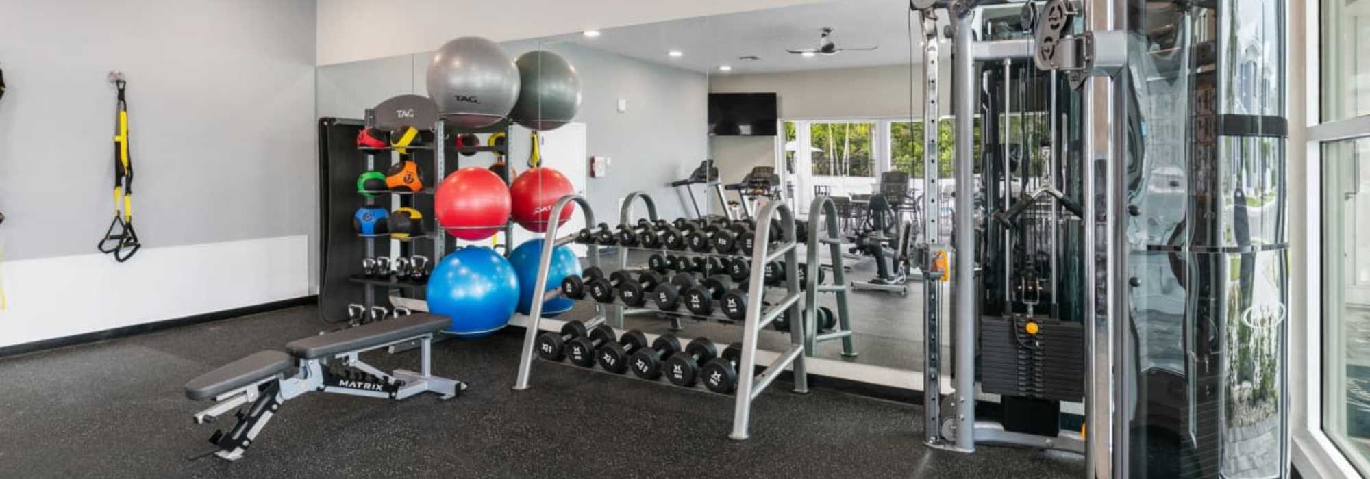 Free weights and strength training equipment in fitness center at The Bergamot Apartments On 780 in Sarasota, Florida