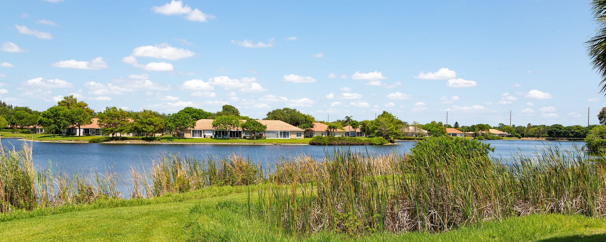 Neighborhood of Whalers Cove Apartments in Boynton Beach, Florida