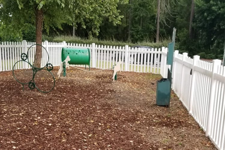 Dog park at Claypond Commons in Myrtle Beach, South Carolina