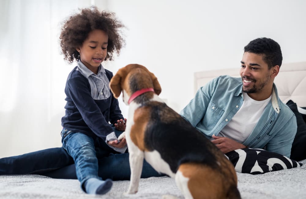 Family and their dog enjoying their new home at 1022 West Apartment Homes in Gaffney, South Carolina