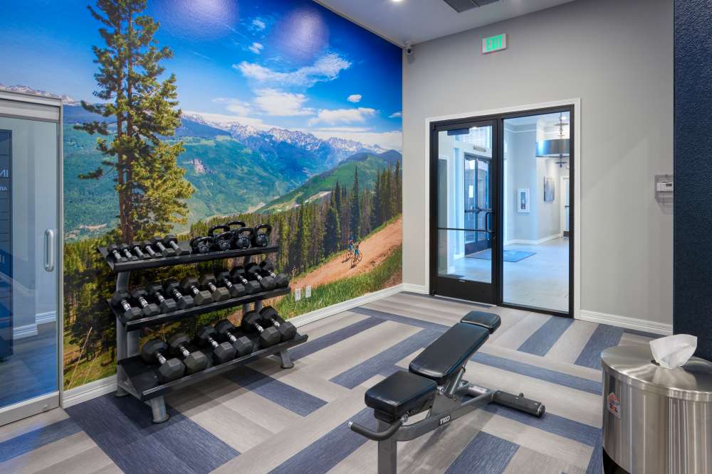 Weights in the community gym at Promenade at Hunter's Glen Apartments in Thornton, Colorado