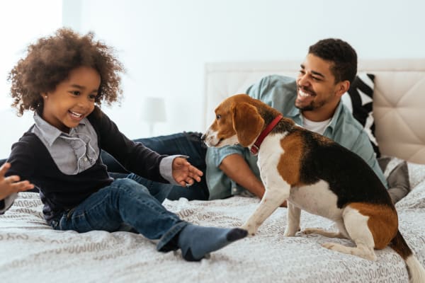 Family giving their dog some love in their pet-friendly home at The Kelton Apartments in American Fork, Utah