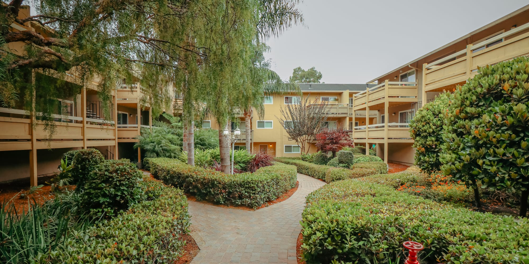 Apartments at Bayfair Apartment Homes in San Lorenzo, California