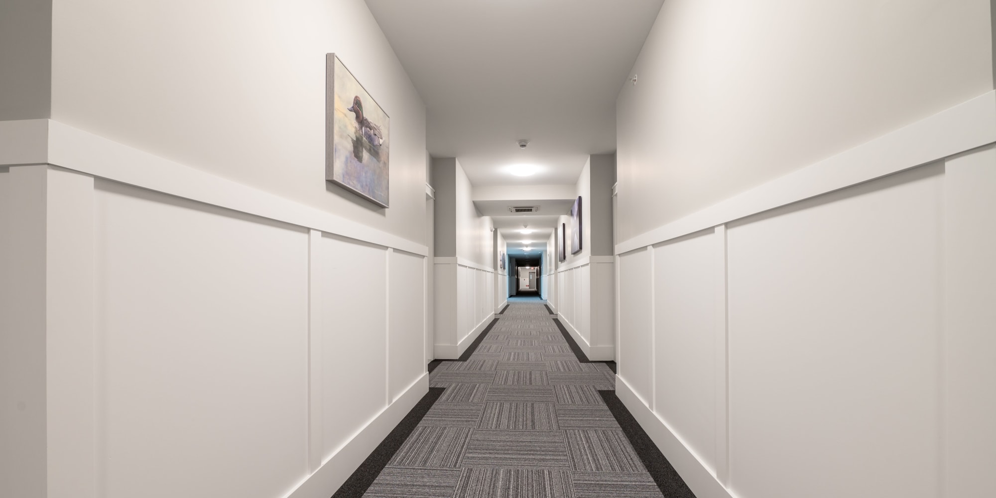 Our Modern Apartments in Cheshire, Connecticut showcase a Entryway