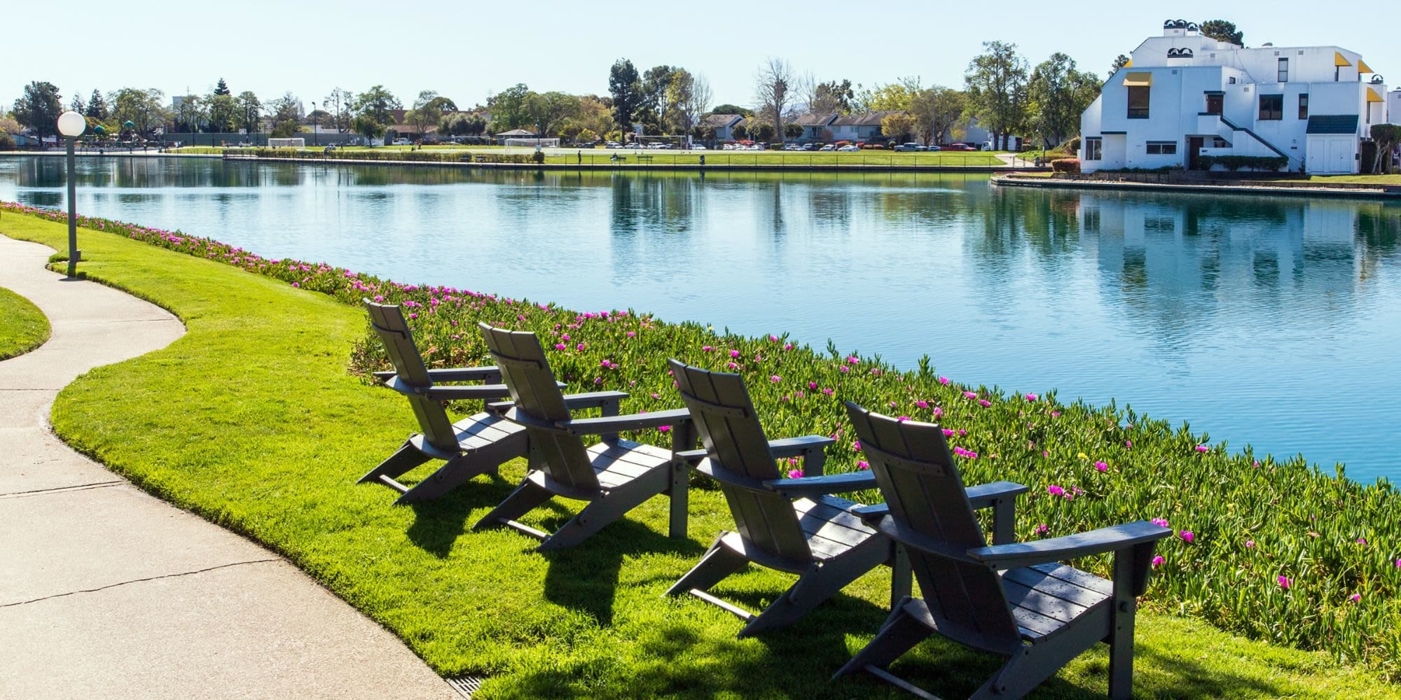 residents enjoying the pool at Sand Cove in Foster City, California