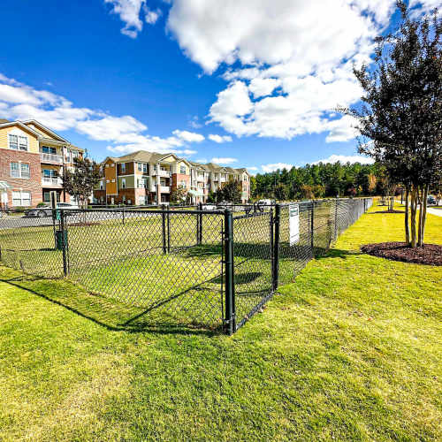 On site dog park at Gateway at Rock Hill in Rock Hill, South Carolina
