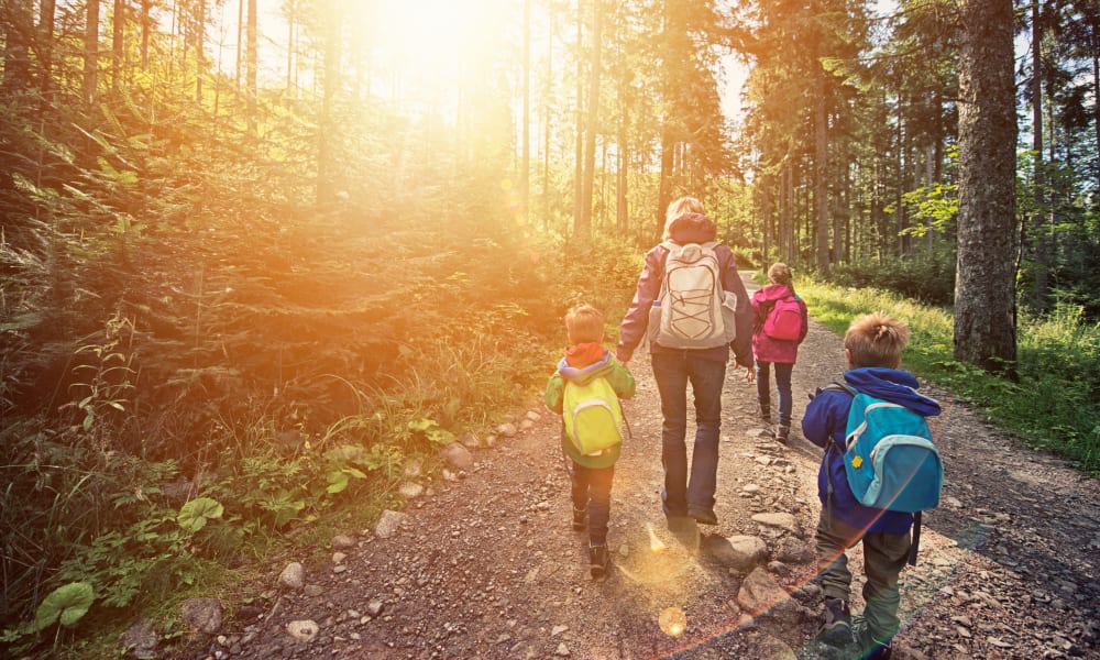 Kids hiking with their parent