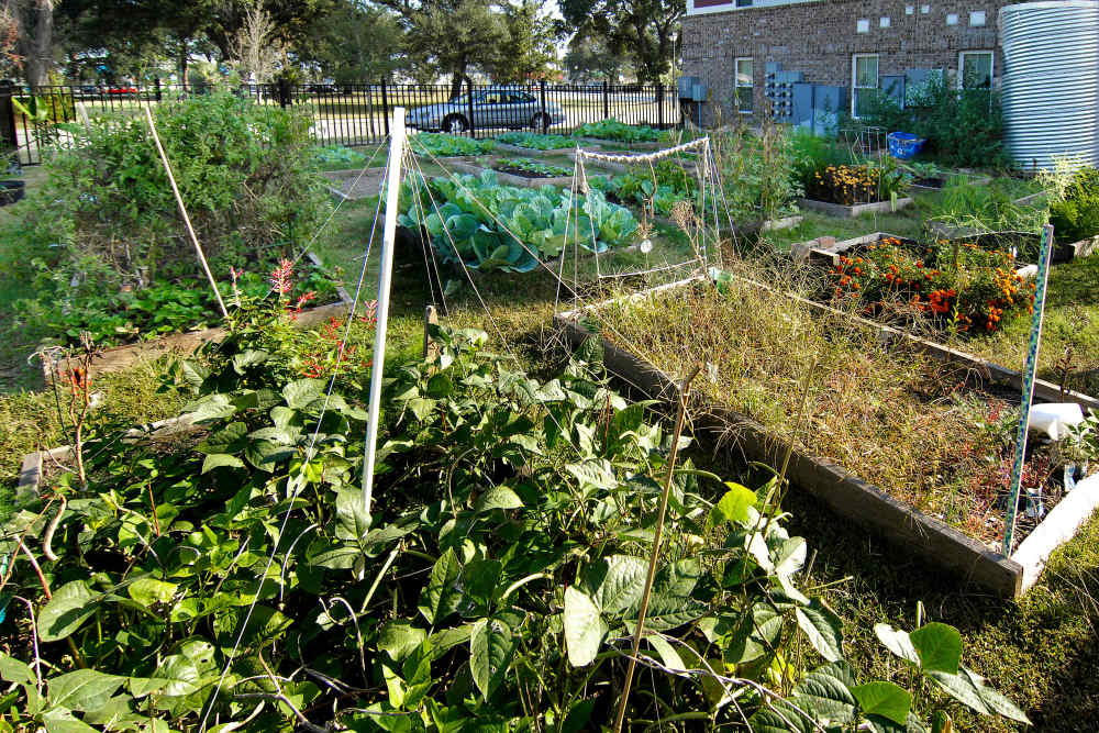 Community garden at Fellwood III in Savannah, Georgia