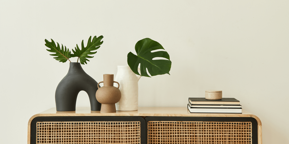 Plants on a desk 