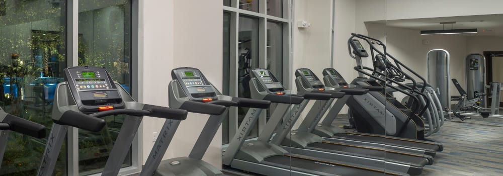 A fitness center with plenty of treadmills at Greenhouse in Houston, Texas