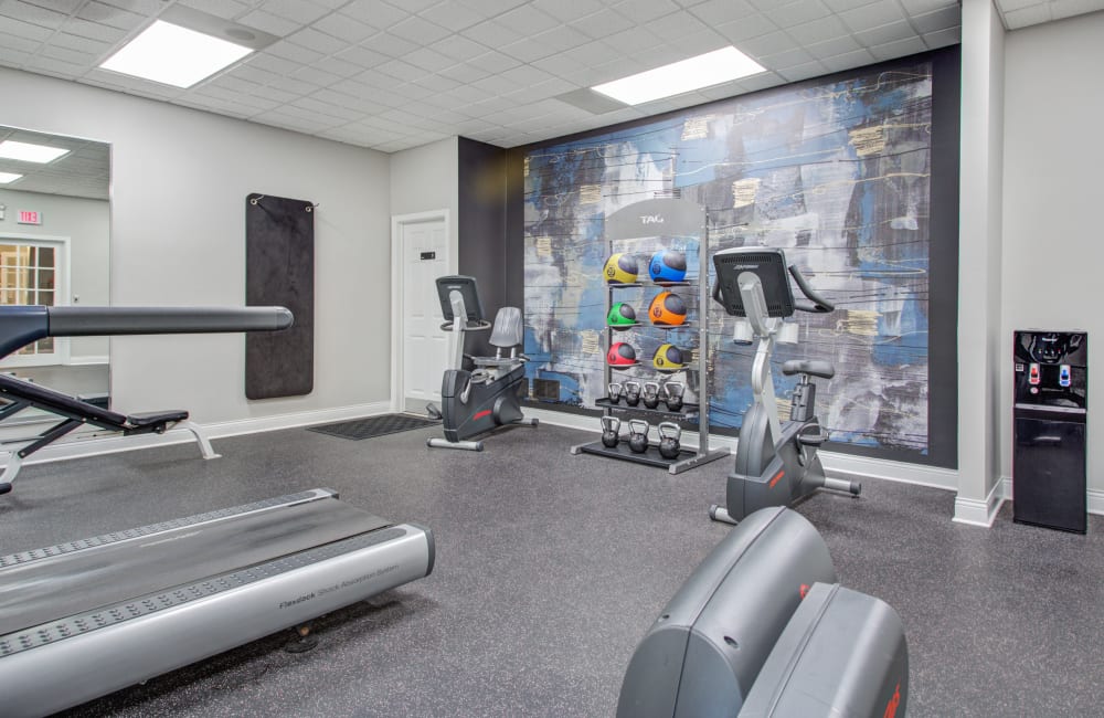 Fitness center at Blackhawk Apartment Homes in Elgin, Illinois