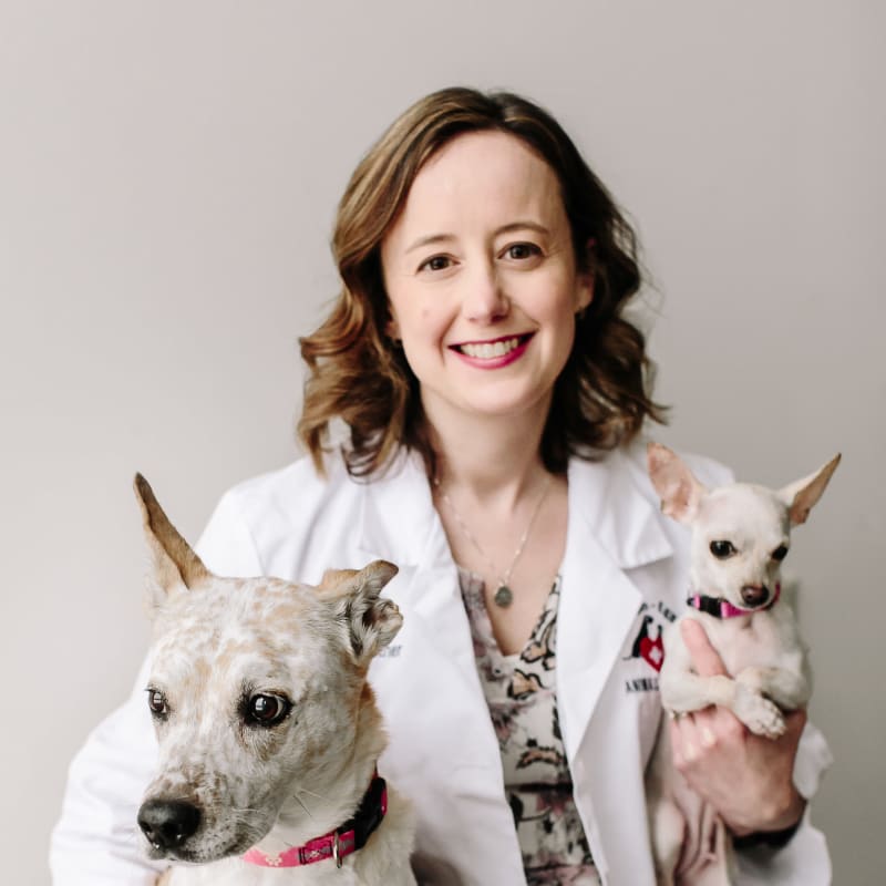 Holly Guenther, DVM at Tonawanda Veterinary Clinic