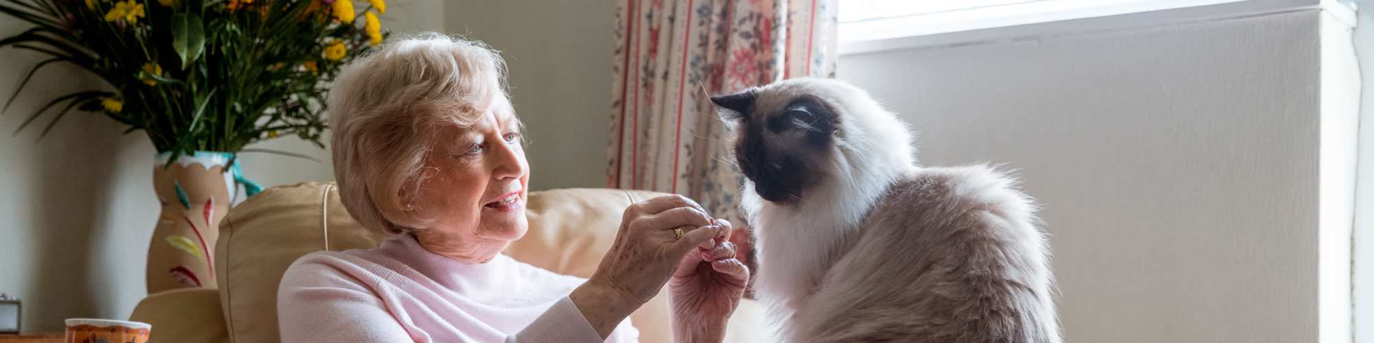 Pet Friendly | Hartford Villas in Broken Arrow, Oklahoma