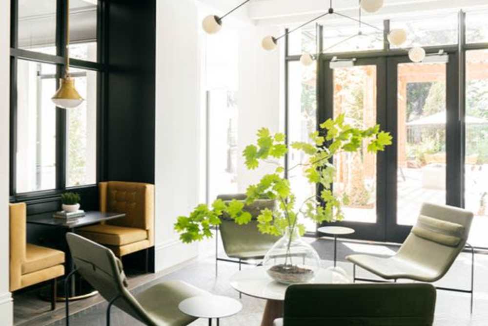 Bright lounge with modern seating at The Eleven Hundred in Sacramento, California