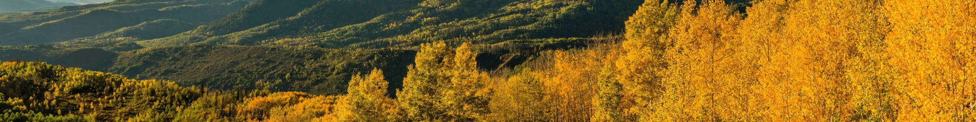 Living options at The Retreat at Sunny Vista