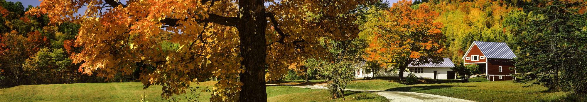 Want to live at Coachlight Village? Apply online!