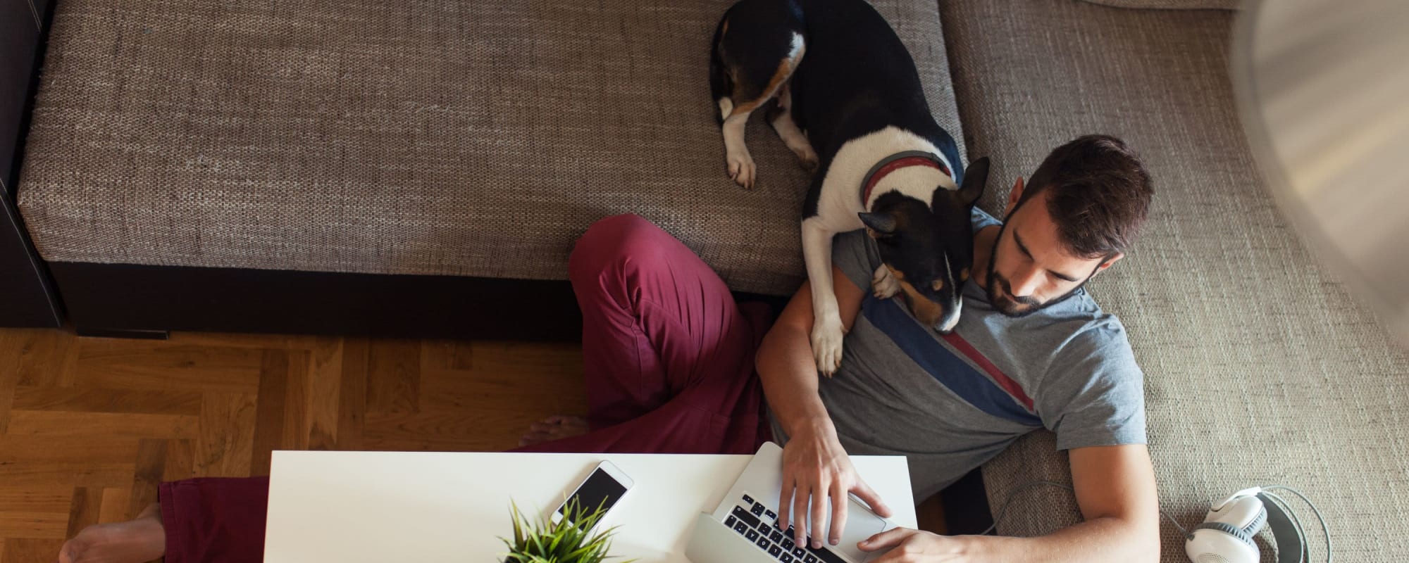 Pets welcome at Eagle Crest Apartments in Humble, Texas