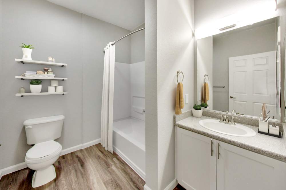 Spacious bathroom at Natomas Park Apartments in Sacramento, California