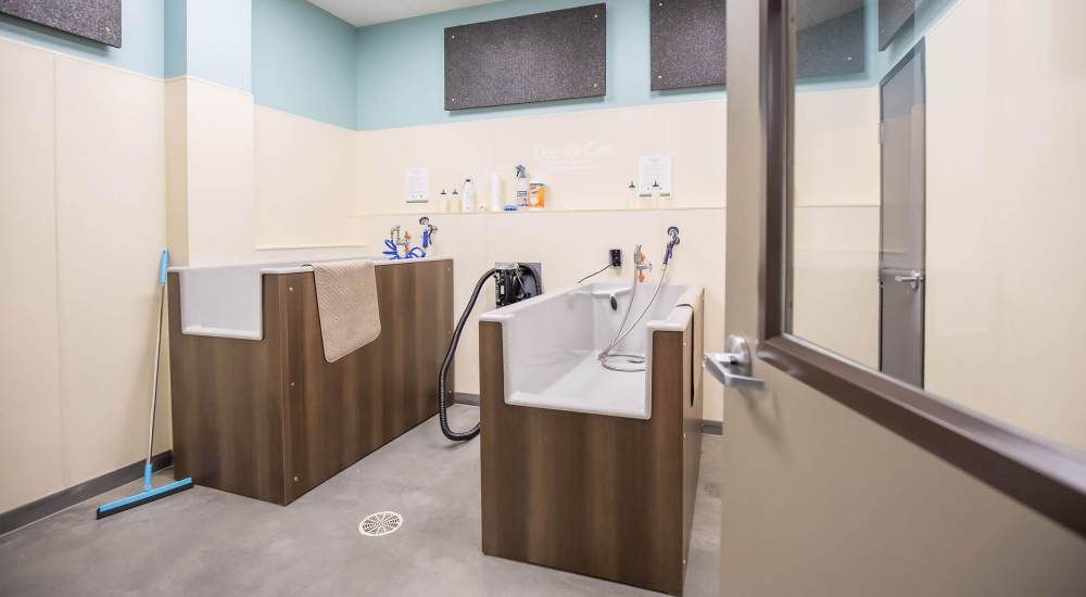 Community dog spa at Shiloh Commons in Billings, Montana