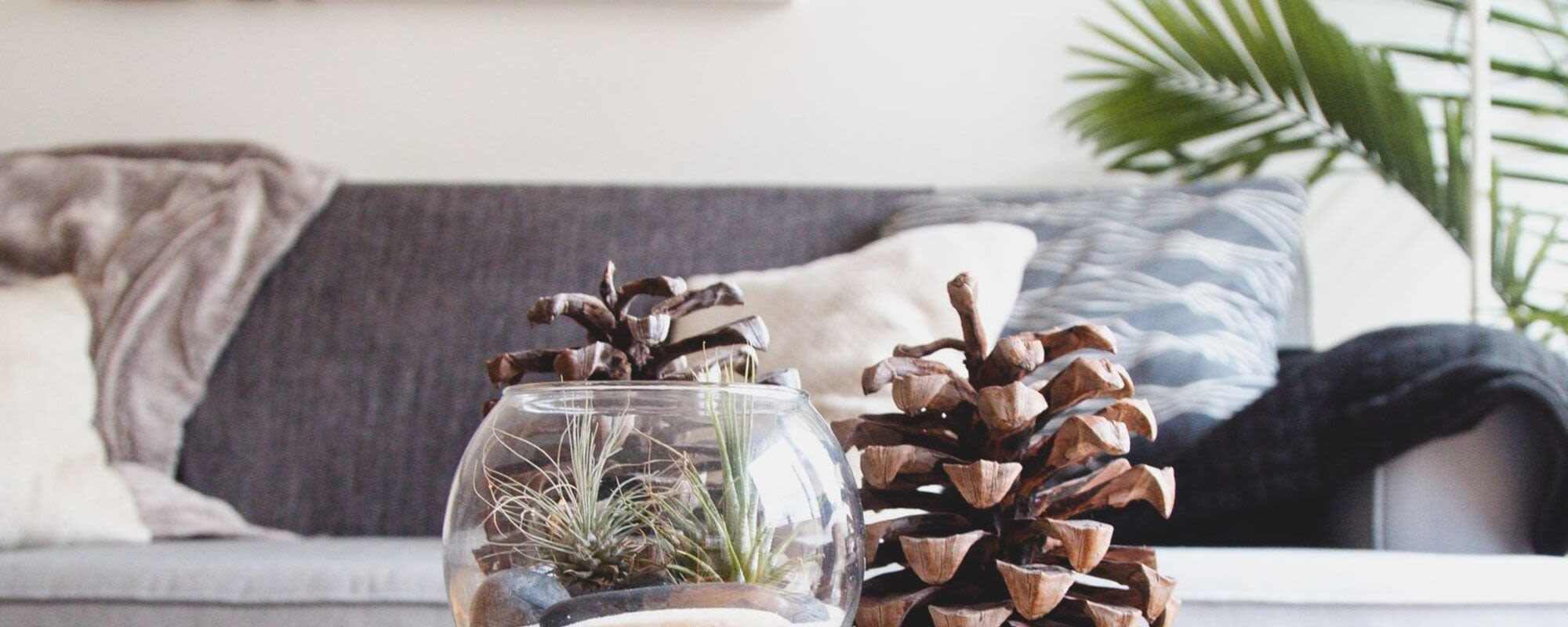 Apartments at Dummer Street Apartments in Brookline, Massachusetts