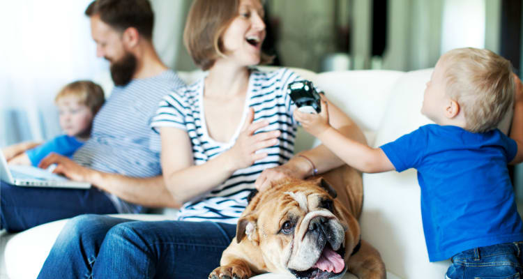 Residents and their bulldog enjoying their new home at The Residences of Westover Hills